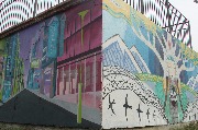 IMG_6586.jpg
