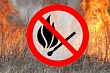 Об ответственности за нарушение правил пожарной безопасности в лесах