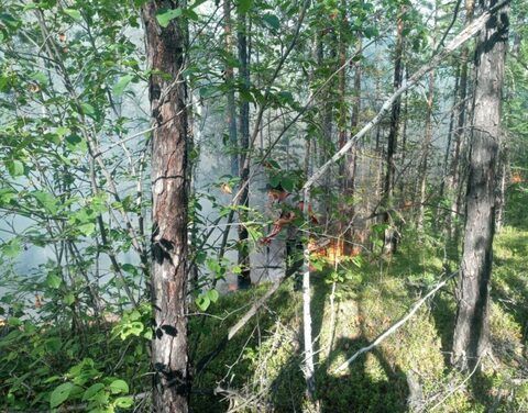 Огонь у села Магарас локализован. Электроснабжение улуса восстановлено Огонь у села Магарас локализован. Электроснабжение улуса восстановлено