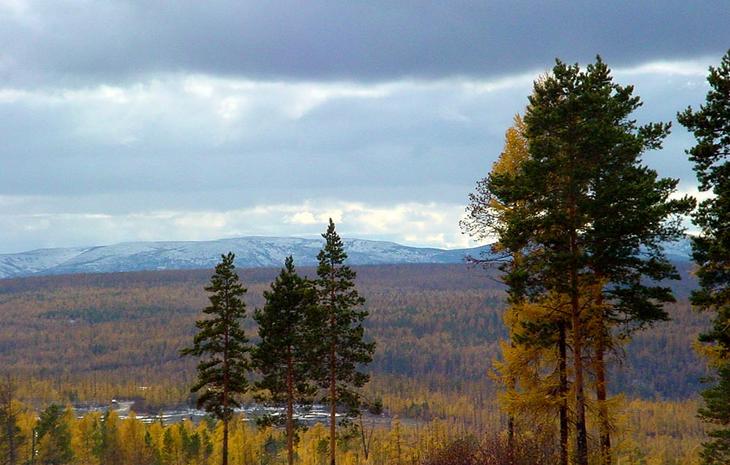 В Якутии пройдут все виды осадков В Якутии пройдут все виды осадков