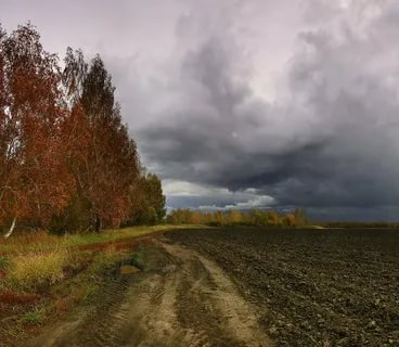 На юге Якутии прогнозируют сильный мокрый снег На юге Якутии прогнозируют сильный мокрый снег