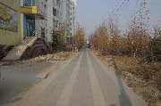 5P3A8896.jpg