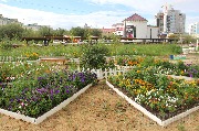 IMG_2254.jpg