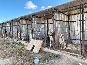 IMG_1627.jpg