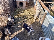 IMG_1682.jpg