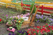 IMG_2234.jpg