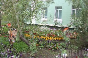 IMG_2212.jpg