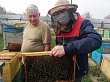 Местное производство в Якутске: северный мед