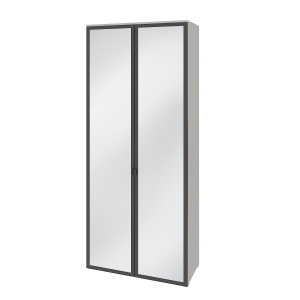 шкаф 2-дв Хилтон с зеркалом 