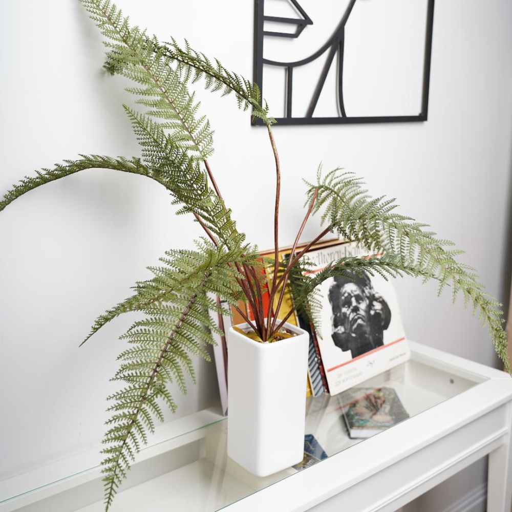 Фото - папоротник в горшке керамическом 