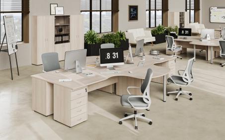 набор мебели для офиса Агат 1 
