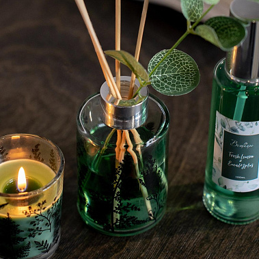 Фото - арома сет FRESH LEMON & EUCALYPTUS ARD-24 