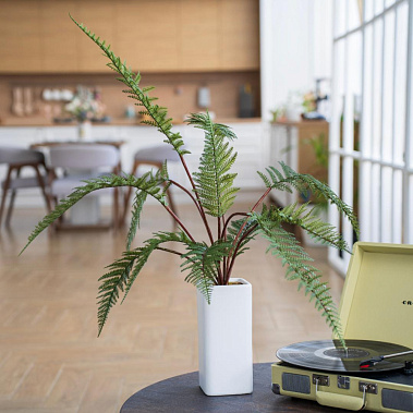 Фото - папоротник в горшке керамическом 