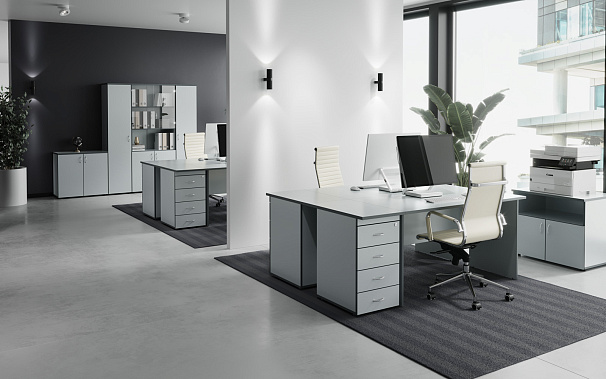 Фото - набор мебели для офиса Агат 3 
